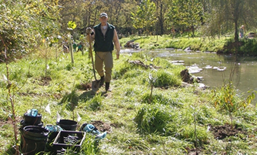 Planting trees