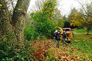 Beaver Creek Cleanup