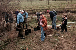 Volunteers start planting trees and shrubs