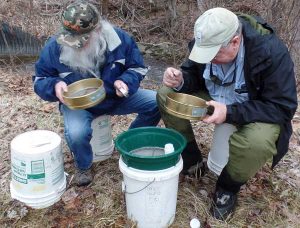 Looking for macro invertebrates