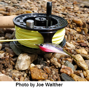 Wet marabou minnow in front of a fly reel