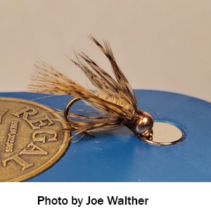 Bead head hares ear wet fly tied by Joe Walther