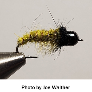 Bead-head-caddis-larva | Seneca Valley Trout Unlimited