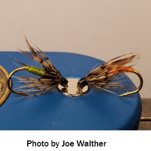 Bright soft hackle wet fly tied by Joe Walther