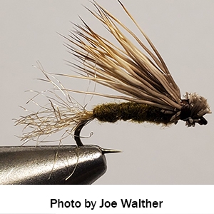 X-caddis emerger fly tied by Joe Walther