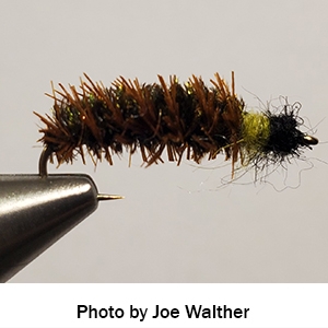 Cased caddis fly tied by Joe Walther