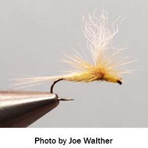 Sulphur Parachute dry fly tied by Joe Walther