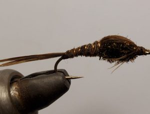 Pheasant Tail Nymph fly