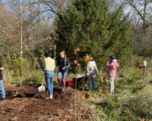 Working on the mulch pile