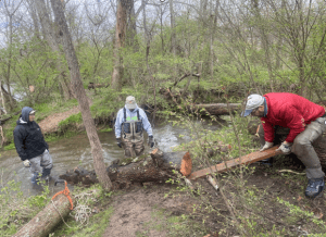 A temporary ramp helps the very wet tree trunk slide up and out of the creek