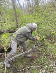 The pulling power comes from the guy working the come-along anchored to a nearby tree