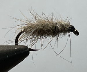 Photo of a Walt's Worm fly